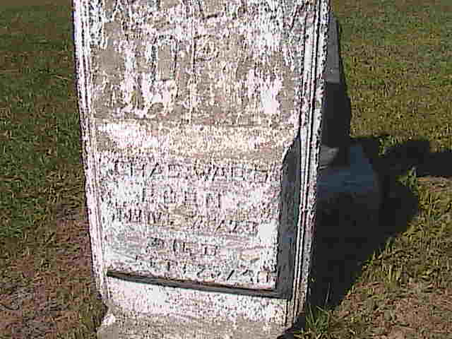 Headstone image of Ward