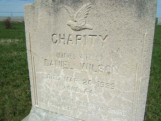 Headstone image of Wilson