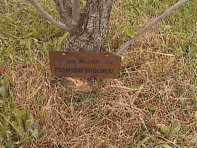 Headstone image of Turcotte