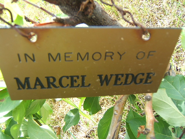 Headstone image of Wedge