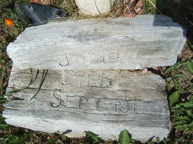 Headstone image of Pasz "Pasz"