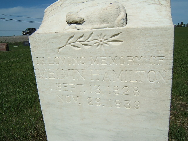 Headstone image of Hamilton