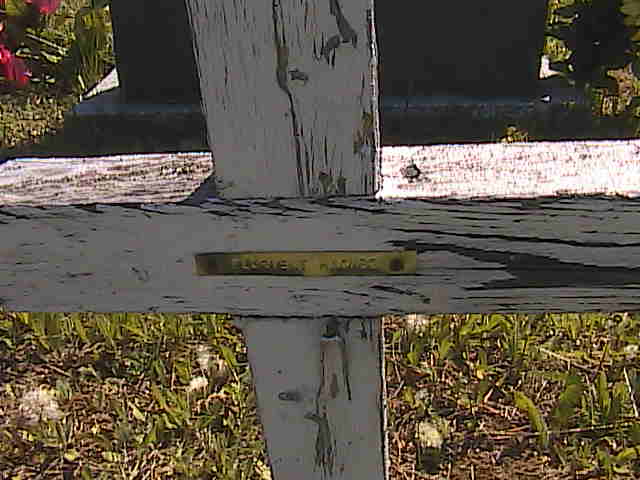 Headstone image of Hachez